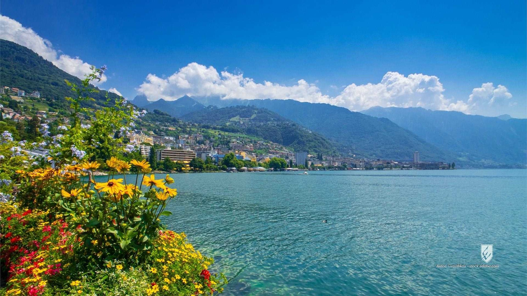 montreux switzerland lake geneva riviera landscape swiss view europe water beautiful travel city tourism nature mountain
