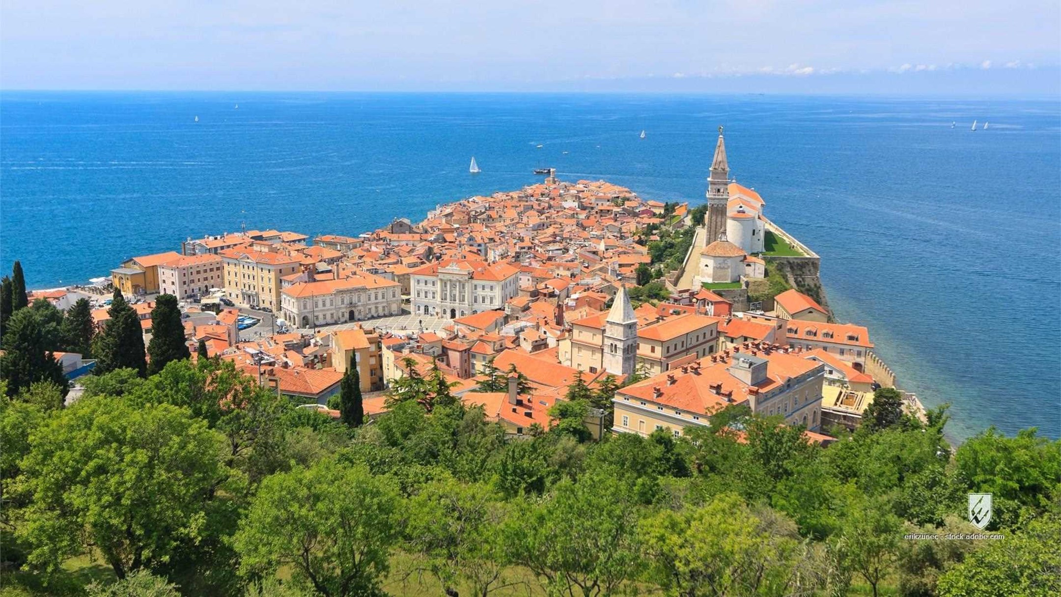 City city primorska piran sunlight tree tower cloud slovenia looking at view summer old adriatic sea mediterranean sea