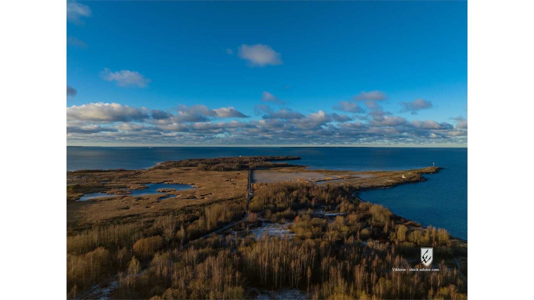 above aerial amazing atmospheric autumn background baltic beautiful beauty bird view branches calm coast coastline
