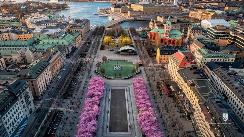 city stockholm architecture cherryblossoms aerial spring urban building view sweden skyline road cityscape highway
