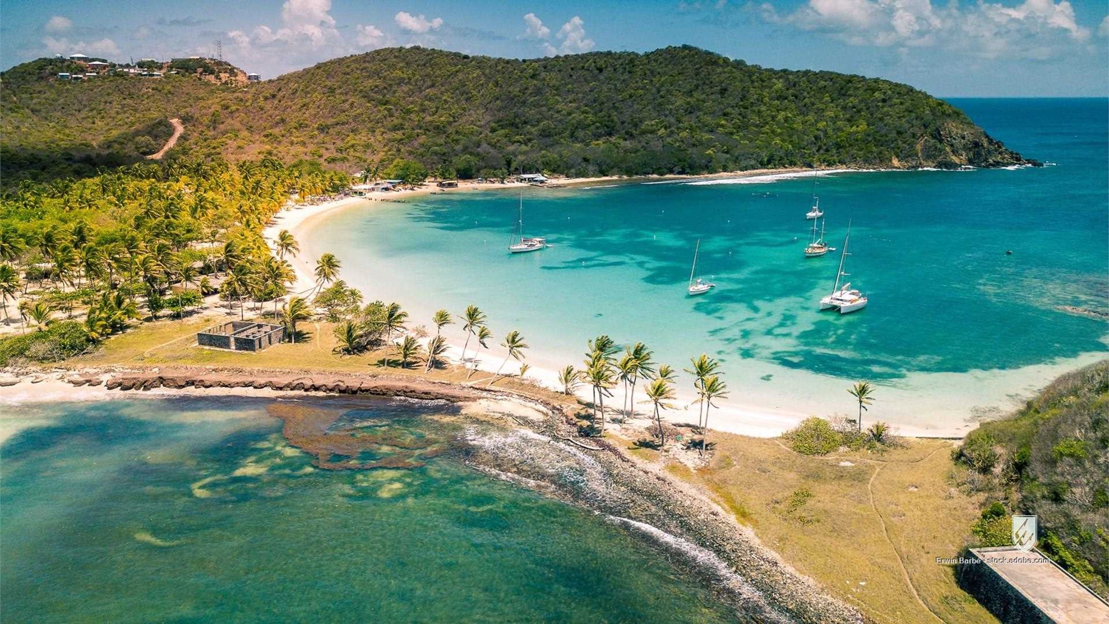 vincent grenadines st caribbean travel beach saint beautiful palm turquoise blue sea holiday tree mayreau water landscap