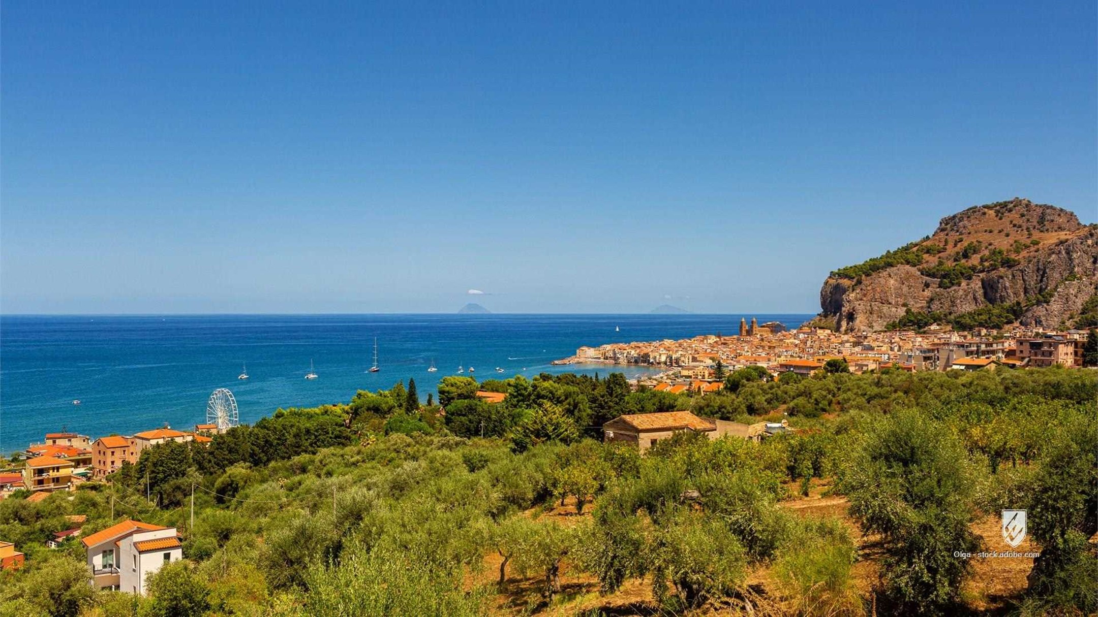 Cefalu Sicily olive tree agriculture panoramic coast town view beach Italy old summer sea plant coastal Duomo Norman Cat