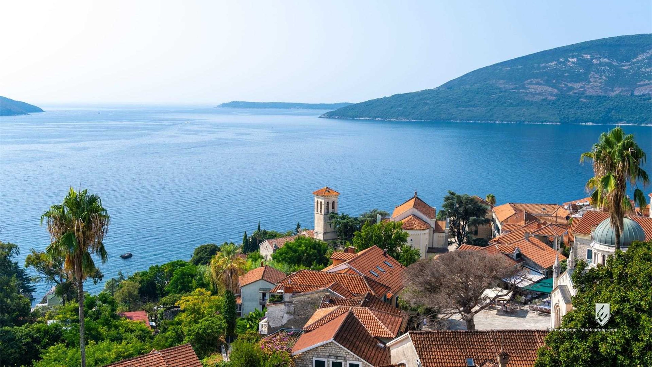 herceg novi montenegro sea bay adriatic roof balkans balkan red palm tree old town tower church architecture mediterrane