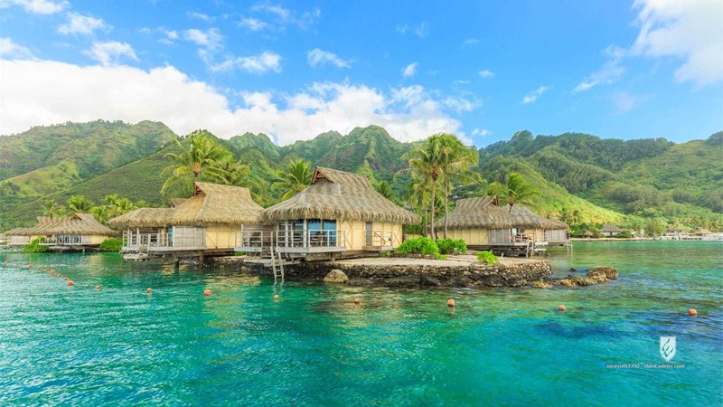 FRENCH POLYNESIA Honeymoon Moorae Island background beach beautiful blue boat clouds coconut tree expensive garden