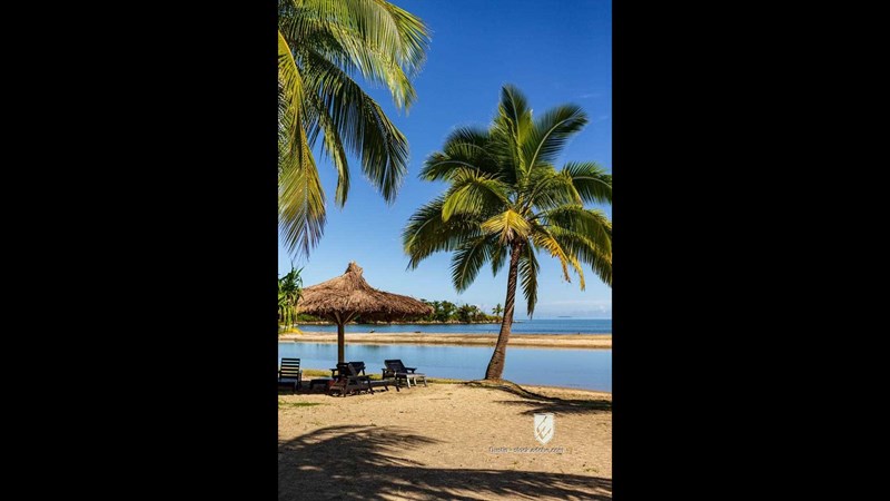 chair resort sand sandy enjoying bench nadi background holiday lounger travelling palm beach handmade umbrella Fiji shad